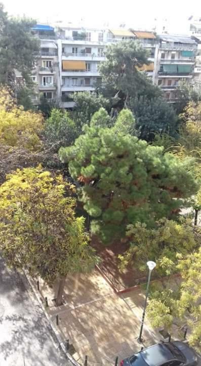 Sylvia' S Apartments أثينا المظهر الخارجي الصورة