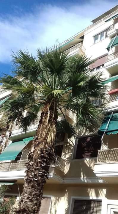Sylvia' S Apartments أثينا المظهر الخارجي الصورة