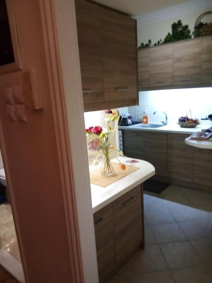 Sylvia' S Apartments أثينا المظهر الخارجي الصورة
